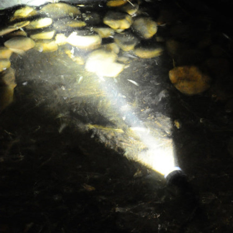 Waterproof Diving Underwater Flashlight